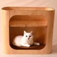 Pet-Side-Table-1