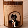 Pet-Rattan-Stand (1)