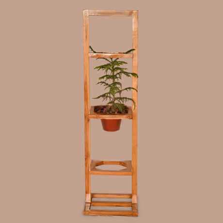 3 Tier Plant Stand